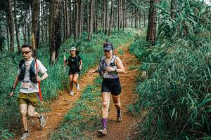 BIB: 
                            <button type="button" onclick="openModal(25702375)" class="btn btn-primary btn-sm float-right btn-popup" data-toggle="modal" data-target=".modal-high-quality">
                        <i class="fas fa-shopping-cart"></i> Add to Cart
                    </button>
                                            <button type="button" onclick="isThisMe(25702375, true)" class="btn btn-success btn-sm float-right btn-popup btn-isme hidden" data-toggle="tooltip" data-placement="bottom" title="นี่คือรูปของคุณใช่ไหม คลิกที่นี่เพื่อเอาเข้าอัลบั้ม">
                        <i class="fas fa-plus"></i> Add to album
                    </button>
                    <button type="button" onclick="isThisMe(25702375, false)" class="btn btn-warning btn-sm float-right btn-popup btn-isnotme hidden">
                        <i class="fas fa-ban"></i> Remove from album
                    </button>